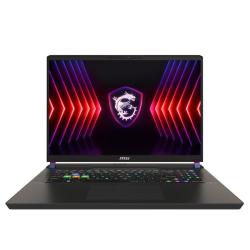 MSI Vector 17HX-684 i9-14900HX 32 1TB 4090 W11H 17